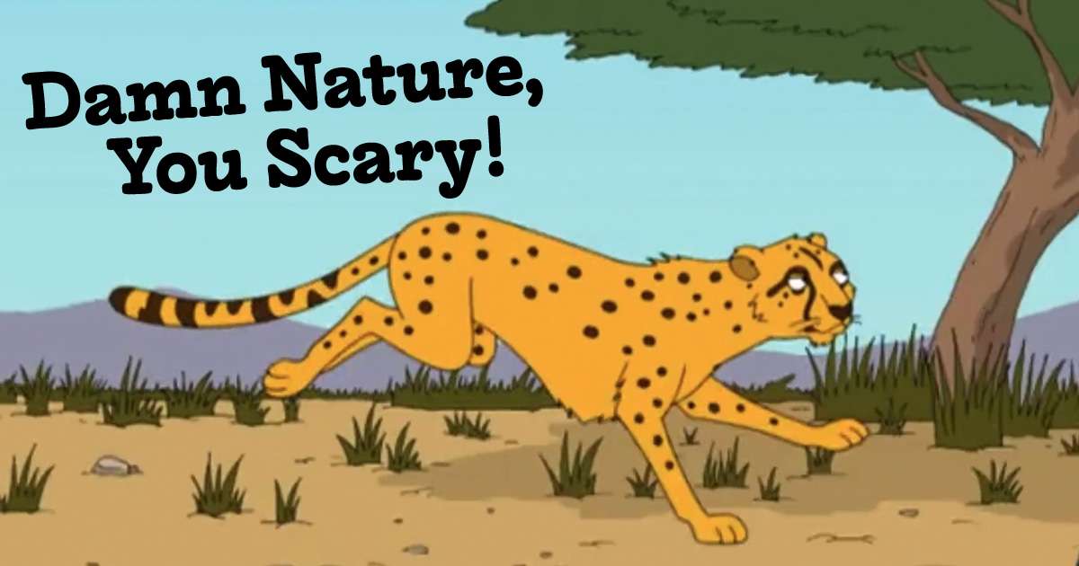 Damn Nature, You Scary!