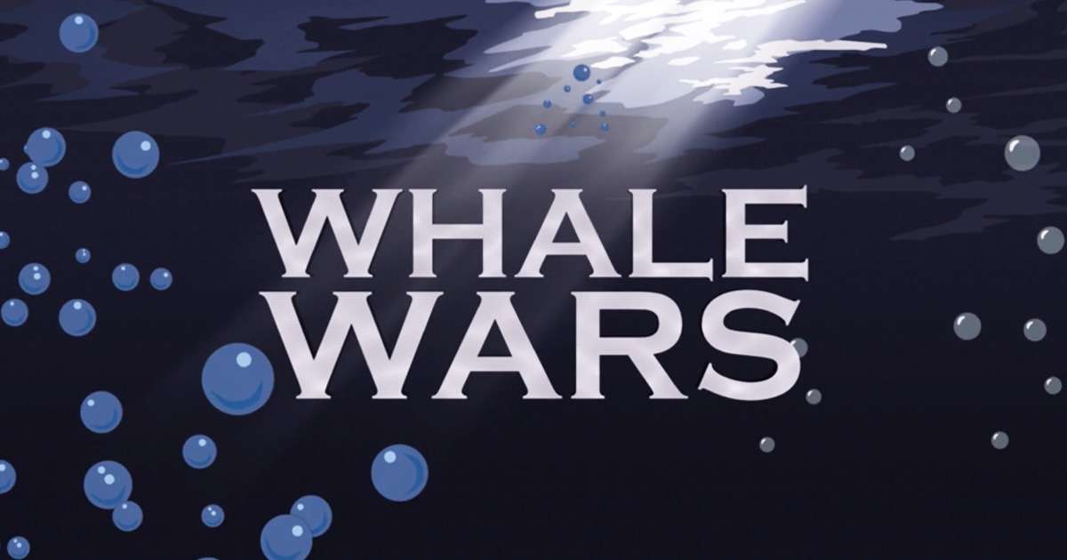 Whale Wars